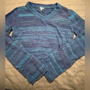 Blue stripped cropped garage sweater